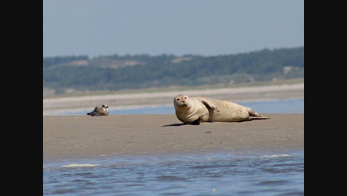Gite L'Etoile De Mer Eu (Seine-Maritime) Bagian luar foto